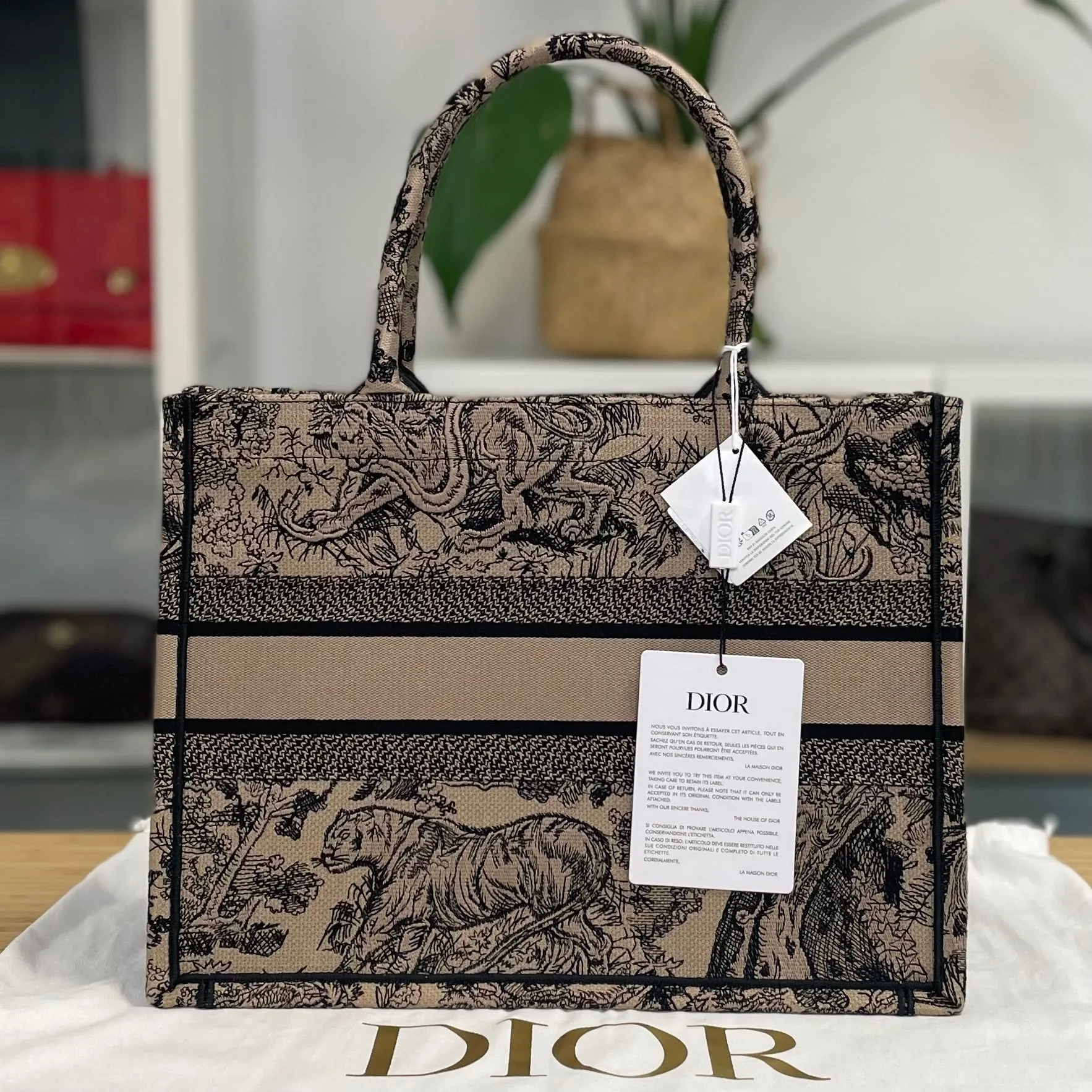 Dior Book Tote