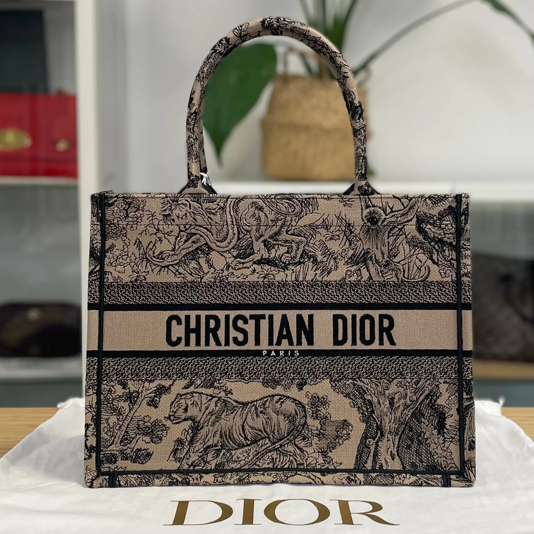 Dior Book Tote