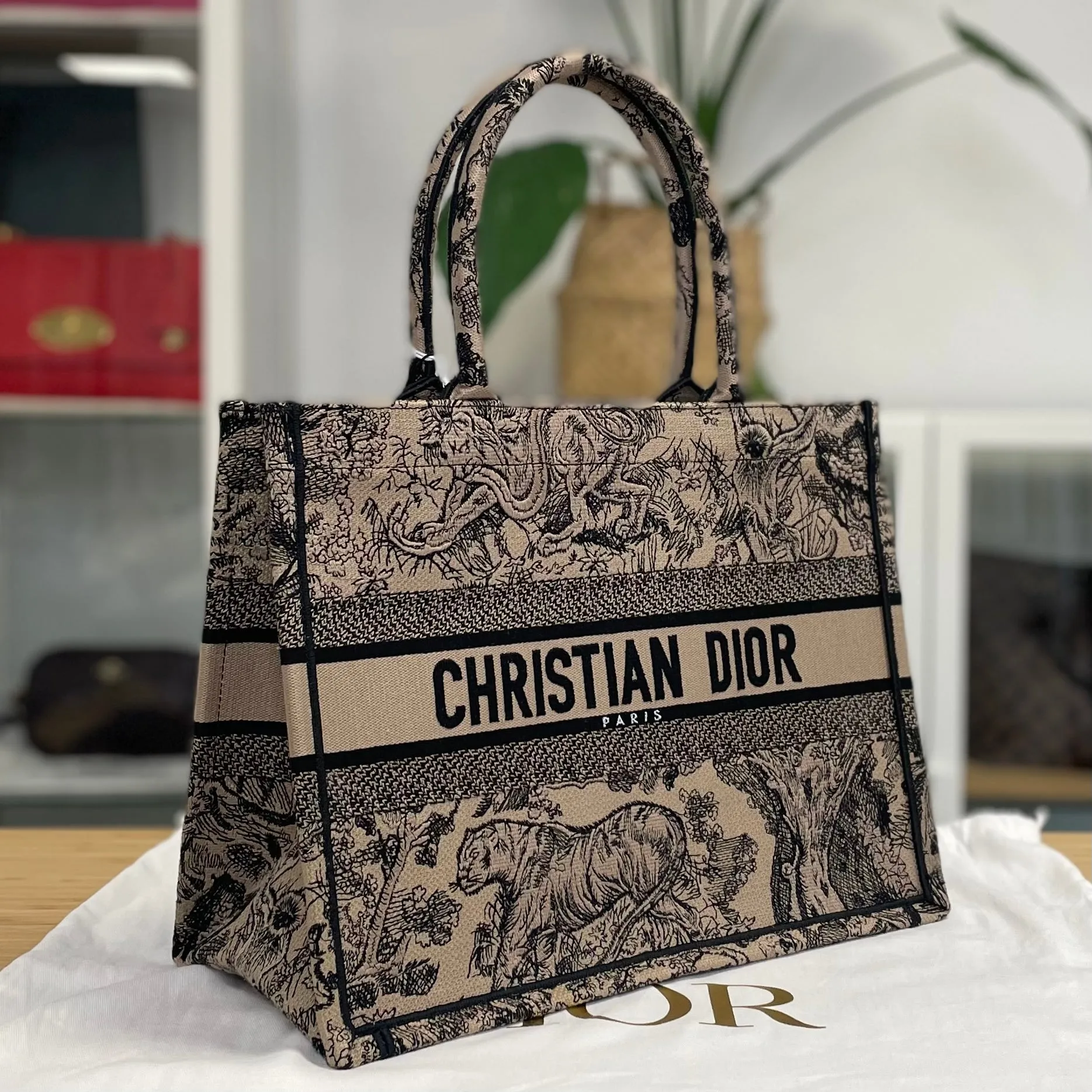 Dior Book Tote