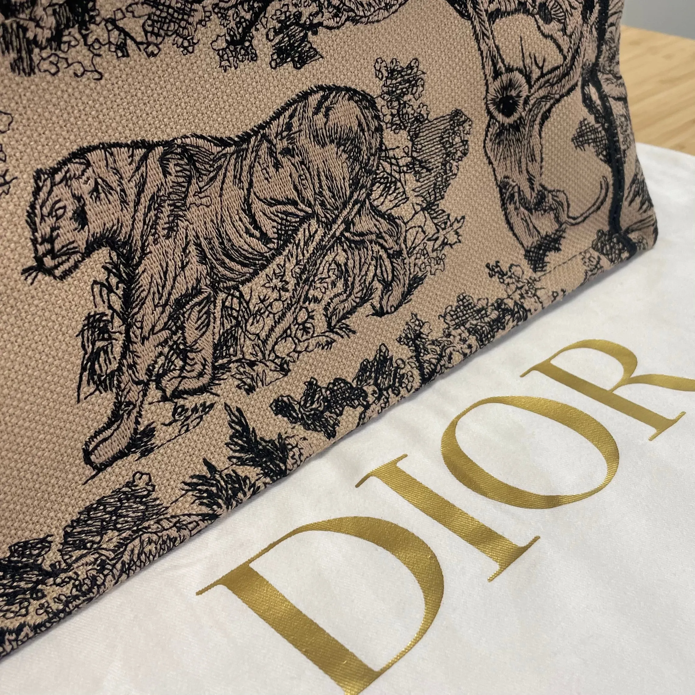 Dior Book Tote