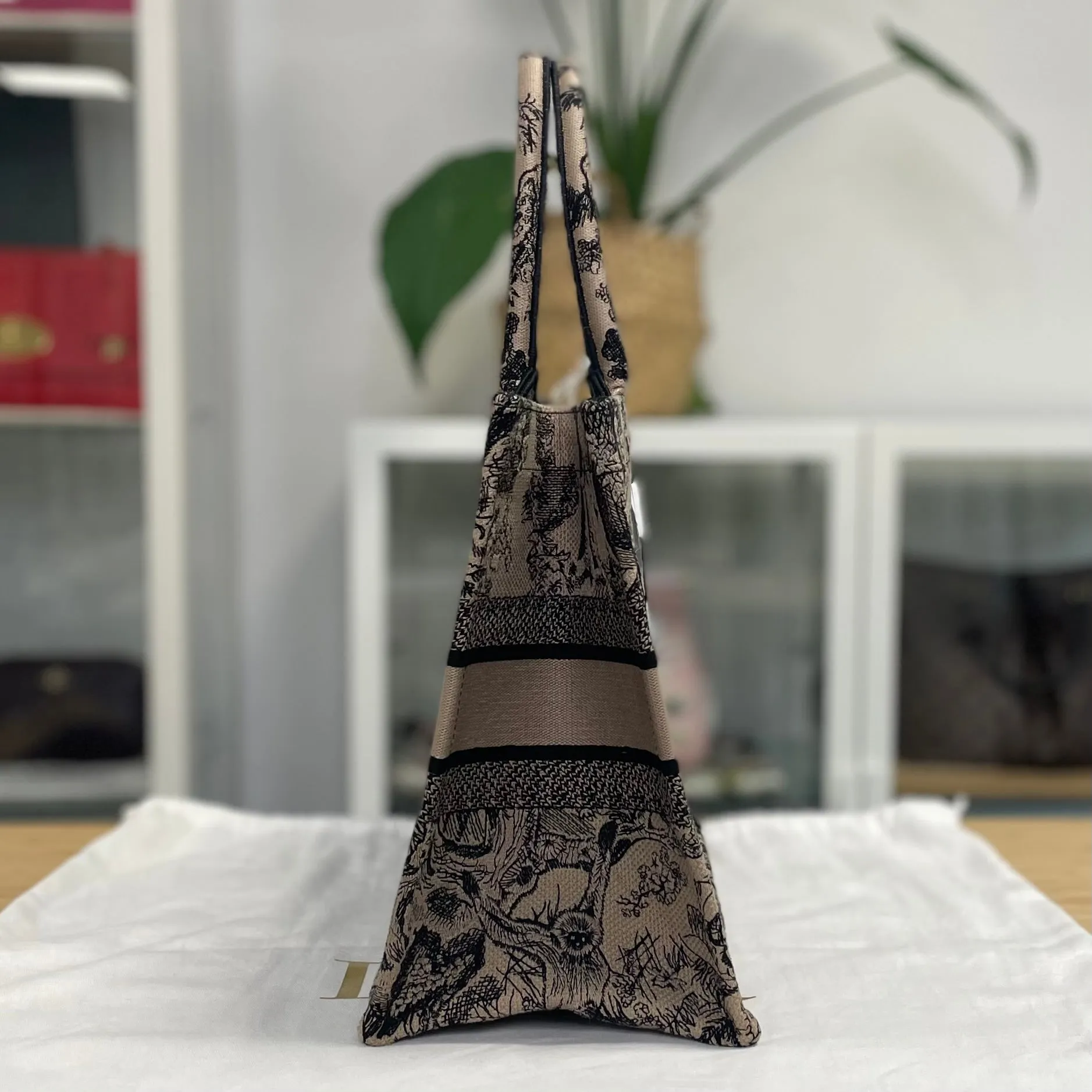 Dior Book Tote