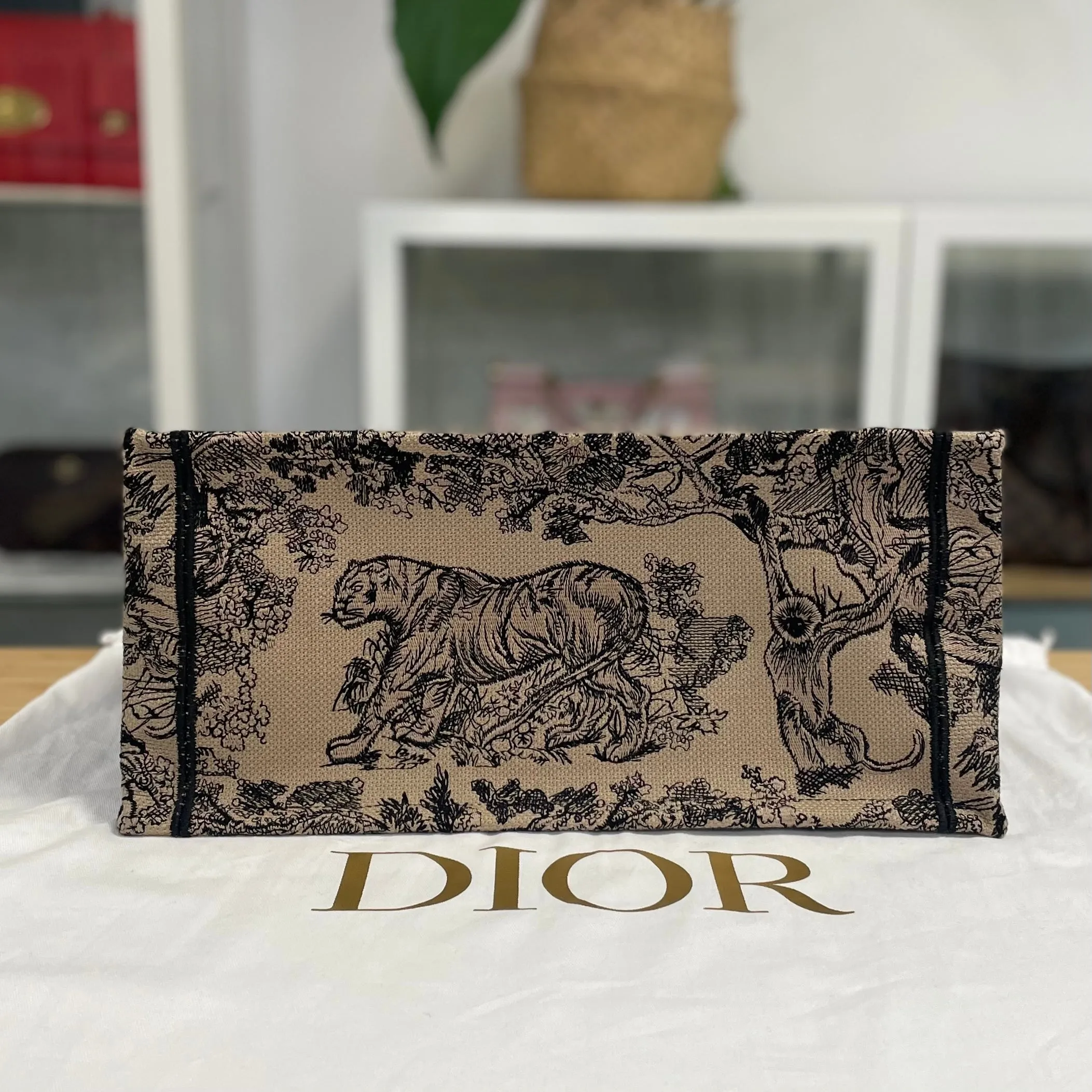 Dior Book Tote