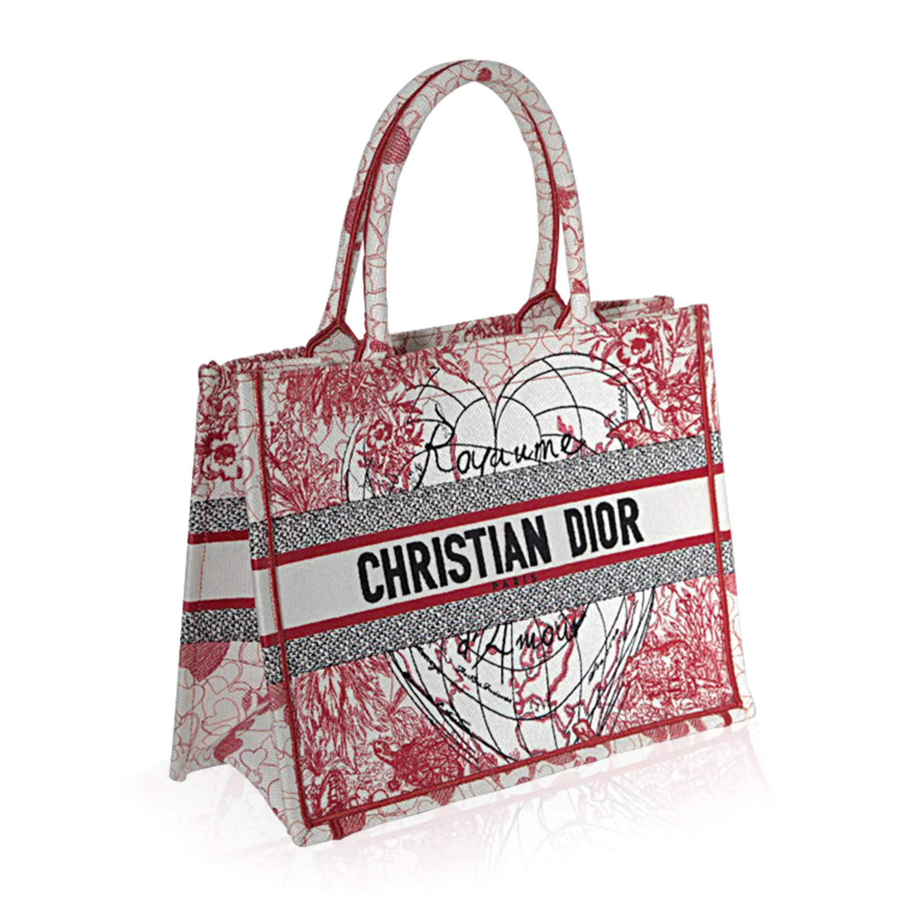 Dior D-Royaume d’Amour Canvas Book Bag